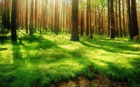 世界短跑接力赛全国锦标赛青年组赛程与场地确认，短跑接力世界纪录